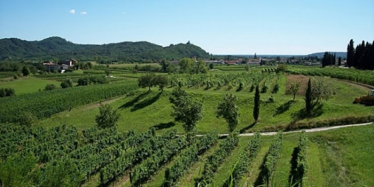Due nuove Doc per l’Abruzzo: Ortona e Villamagna