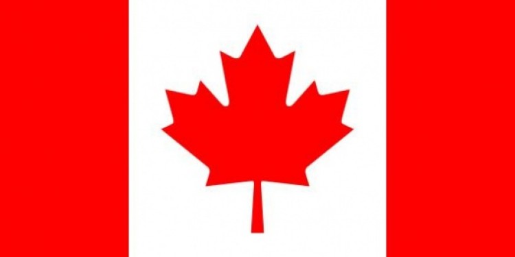 In Canada è legale ML01, un lievito geneticamente modificato