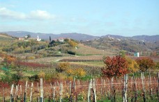 Winecamper: la nuova offerta enoturistica del Friuli