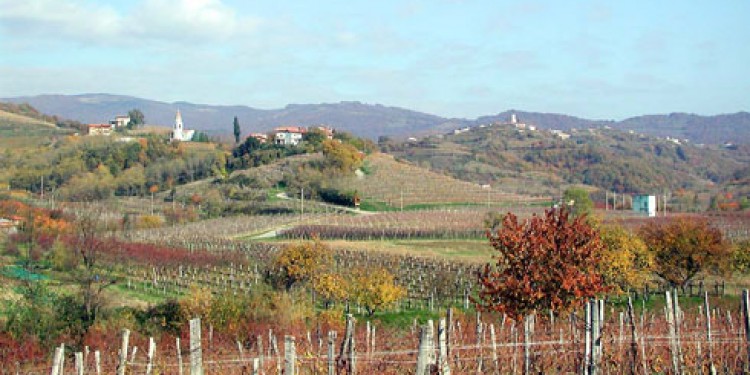 Winecamper: la nuova offerta enoturistica del Friuli