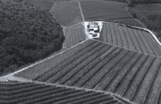 La Viarte di Prepotto: viticoltura di precisione per vini di terroir