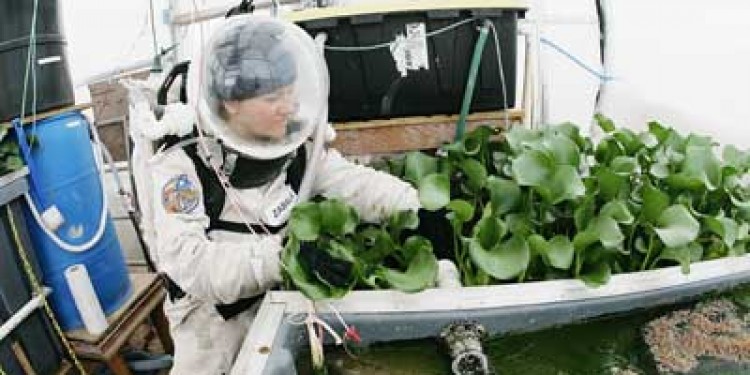Space farming ovvero la sfida dell’agricoltura spaziale