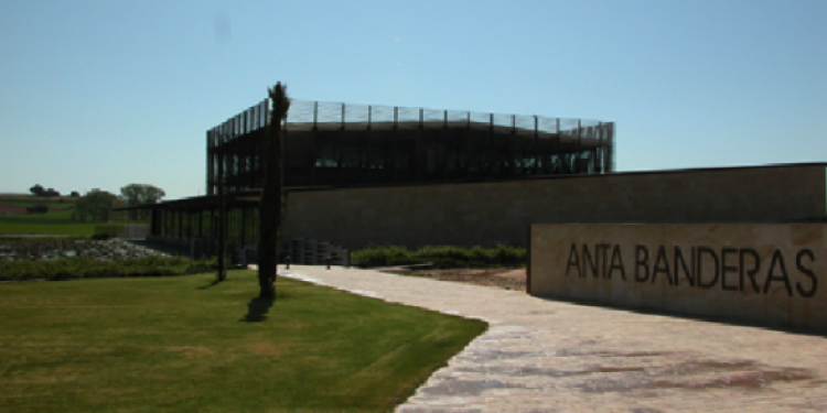 Antonio Banderas diventa produttore di vino in Spagna