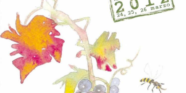 ViniVeri 2012: costruire il futuro del vino naturale