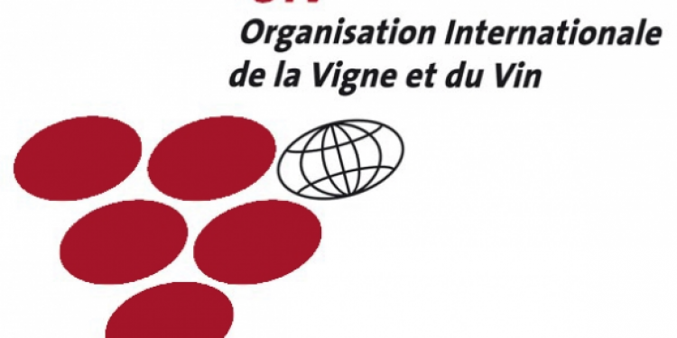 Oiv: nel 2011 il consumo mondiale di vino segna +0,7%