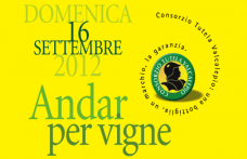 Il 16 settembre è tempo di “Andar per vigne” in Valcalepio