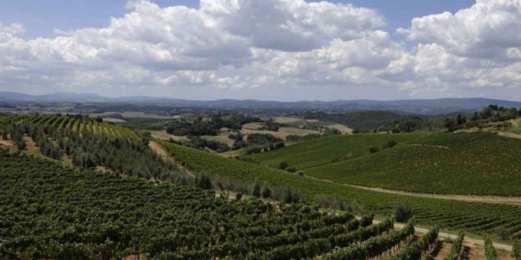 Speciale Toscana: Melini