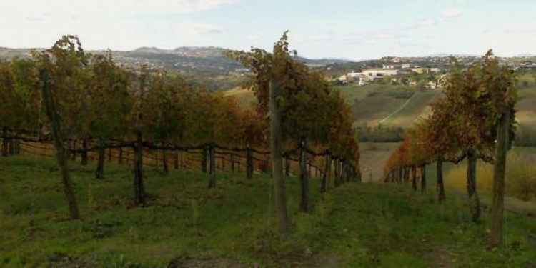 Annate storiche di vini mitici (19): Campania