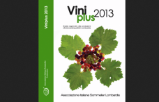 Consigli di lettura: Viniplus Ais Lombardia 2013