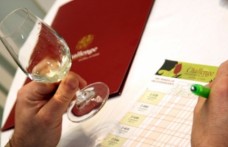 Challenge du vin 2013: le iscrizioni chiudono oggi