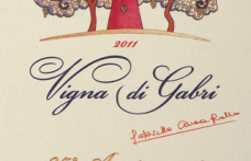I Vini del 2013: Donnafugata affascina con il Vigna di Gabri 2011