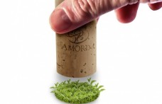 Amorim Cork Italia: più tappi venduti (+2,53% nel 2012) e una certificazione premium