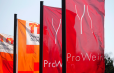 ProWein 2013: parola d’ordine business