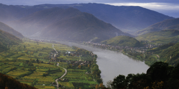 Enoteca Cortina per VinoVip: i Riesling austriaci di Nikolaihof (Wachau)