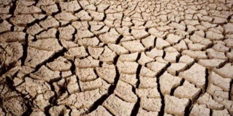 Al Congresso Assoenologi si affrontano i cambiamenti climatici