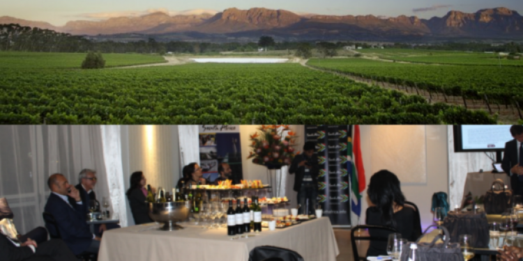 Sudafrica: potenzialità enormi e il vino come occasione di crescita