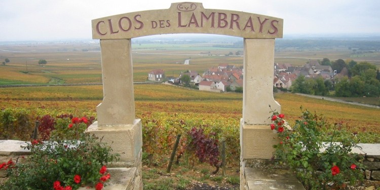 Bourgogne, là dove la vigna è più cara