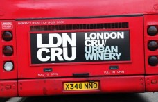 A Londra la prima urban winery