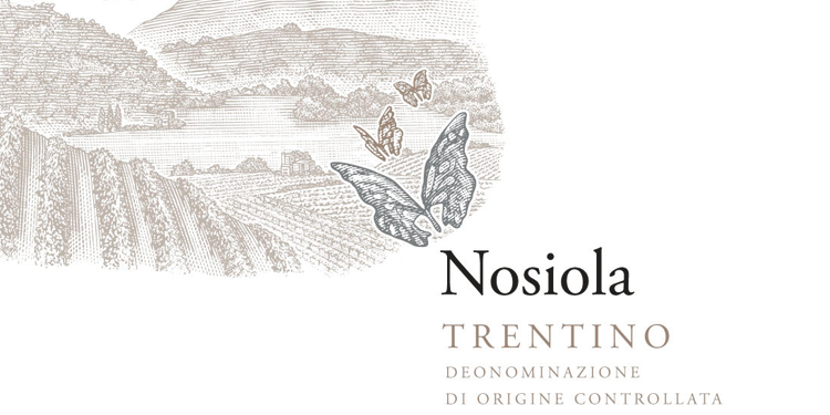I vini del 2014. La Nosiola, per Cavit emblema del Trentino