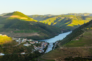 vineyard-hills-in-the-river-Douro-valley,-Portugal