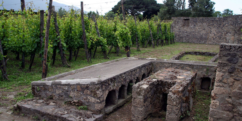 Progetto Pompei Mastroberardino