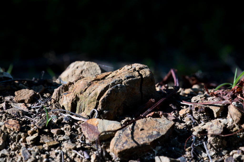 Il suolo delle vigne a Spessa di Capriva