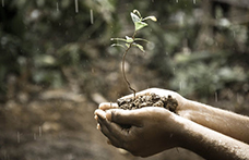 Effetto terroir: si può davvero misurare?