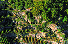 Zonazione: le aree vinicole più vocate in Valtellina, Oltrepò, Lugana e Valpolicella