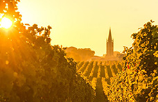 Bordeaux 2020, le prime impressioni en primeur
