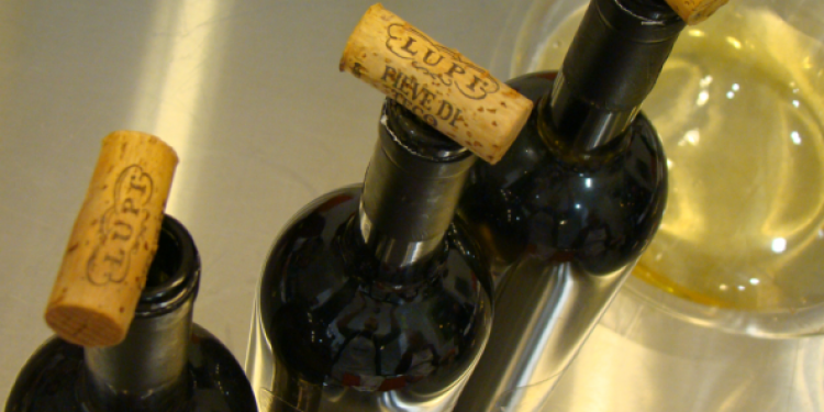 Vino e fornelli. A scuola di cucina con Lupi