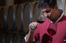 Nicola Biasi è Next In Wine 2015