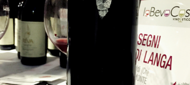 Pinot nero 2014 Segni di Langa