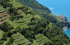 Weekend alle Cinque Terre: trekking, soste e vino