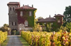 Un weekend tra i vini dei Colli Piacentini