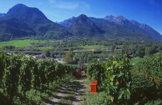 Un weekend in Valle d’Aosta tra cantine e castelli