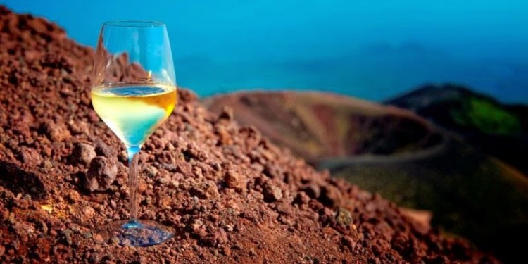 Mineralità del vino: i suoli più adatti