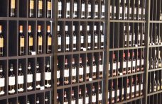 Export vino 2015. L’analisi di Federvini