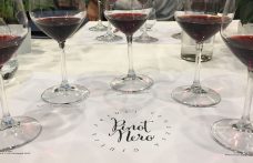 Pinot Nero Friuli Venezia Giulia: la nuova Rete d’Impresa
