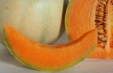 Melone mantovano, una fetta d’estate