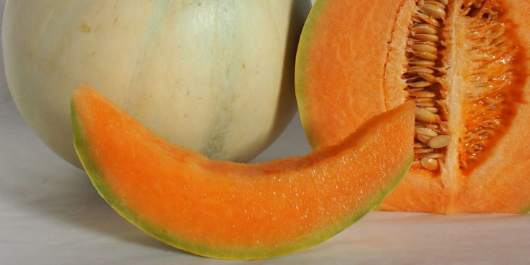 Melone mantovano, una fetta d’estate