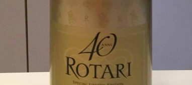 Rotari 40 anni 2011