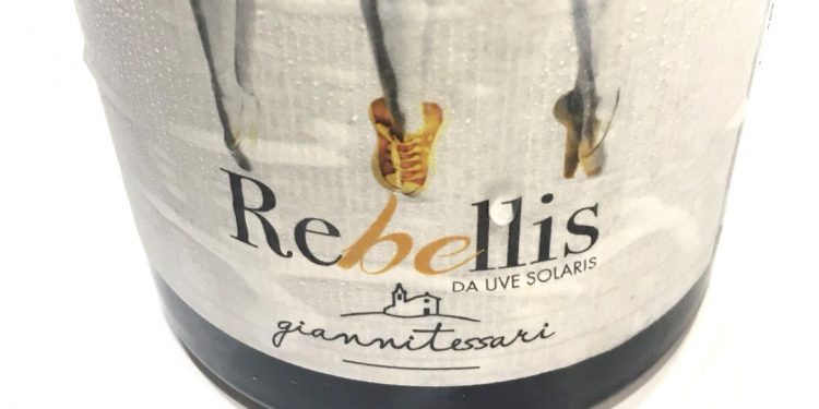 Nasce Rebellis, il primo vino piwi di Gianni Tessari