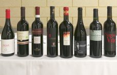 Rosso Piceno: 10 vini da provare (e un viaggio da prenotare)