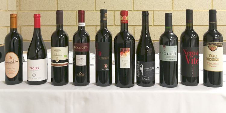 Rosso Piceno: 10 vini da provare (e un viaggio da prenotare)
