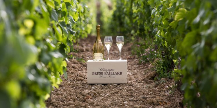 Paillard si dimette per la tutela dello Champagne