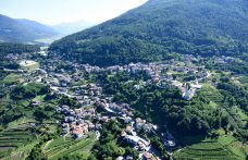 I migliori Müller Thurgau alla 31ª Rassegna in Valle di Cembra