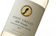 Pinot grigio delle Venezie: il Triveneto scommette sulla qualità dei grandi numeri