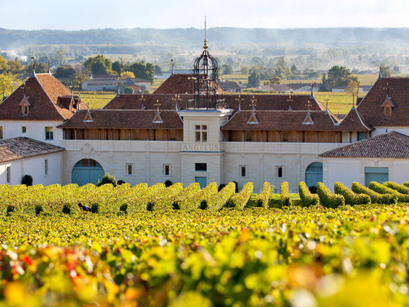 Château Angélus in vendita? La famiglia si oppone
