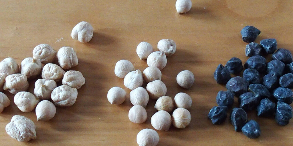 Ceci piccini picciò