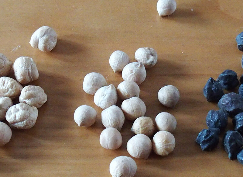 Ceci piccini picciò